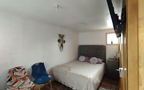 Casa Flor Austral